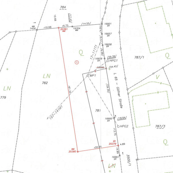 Sonniger Baugrund in Göfis - Amann Immobilien