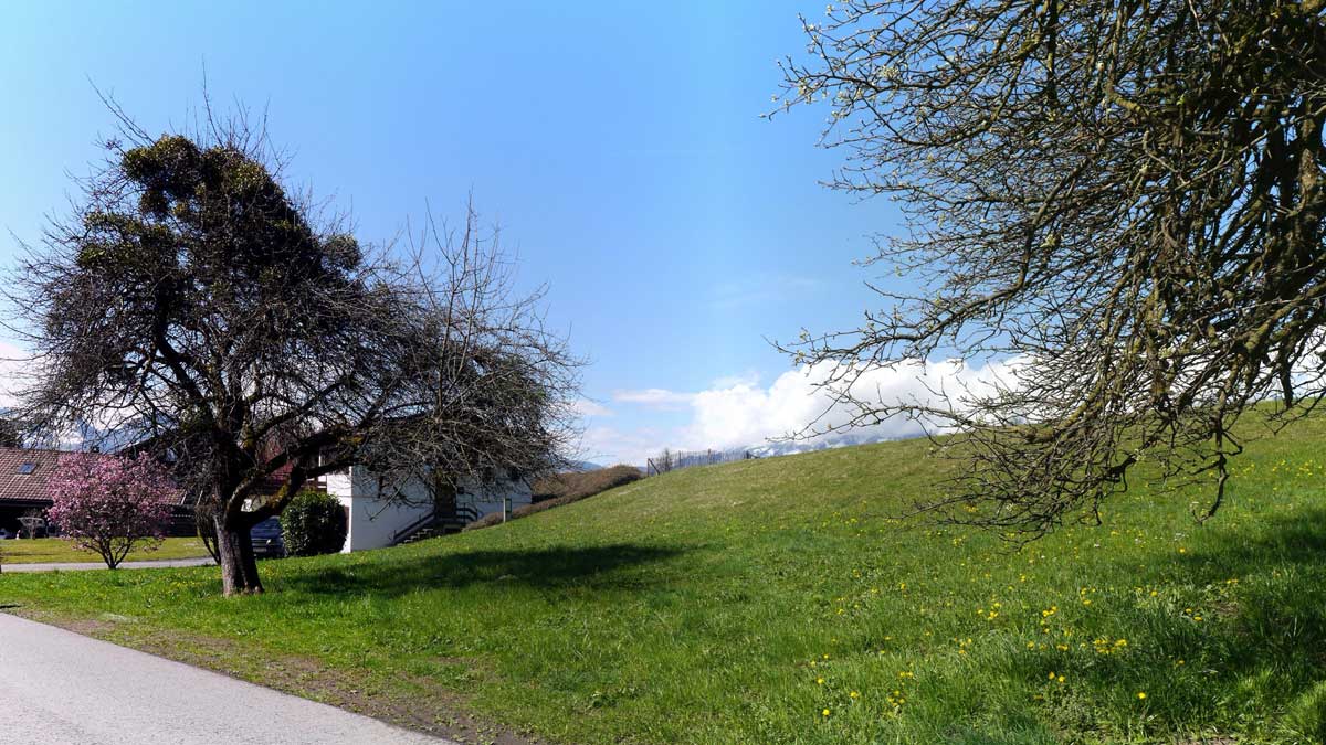 Attraktives Grundstück in Feldkirch-Tisis - Amann Immobilien