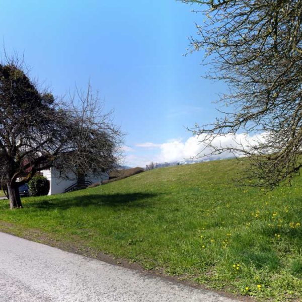 Attraktives Grundstück in Feldkirch-Tisis - Amann Immobilien