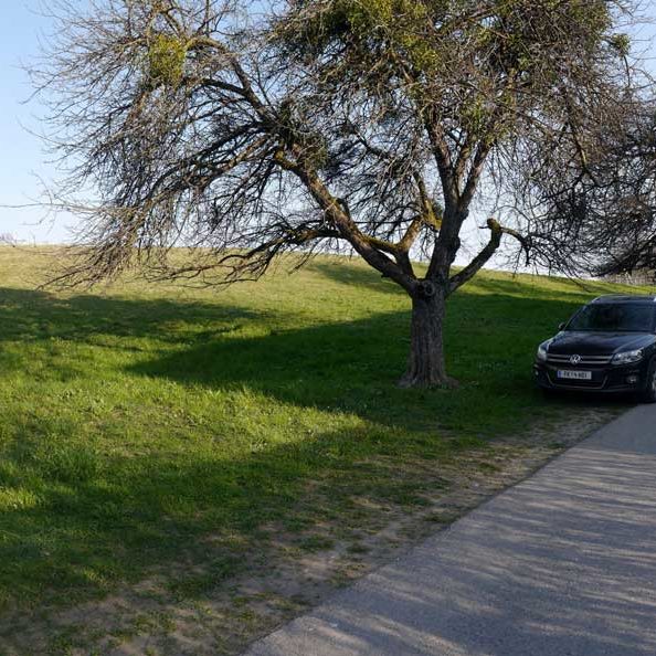 Attraktives Grundstück in Feldkirch-Tisis - Amann Immobilien