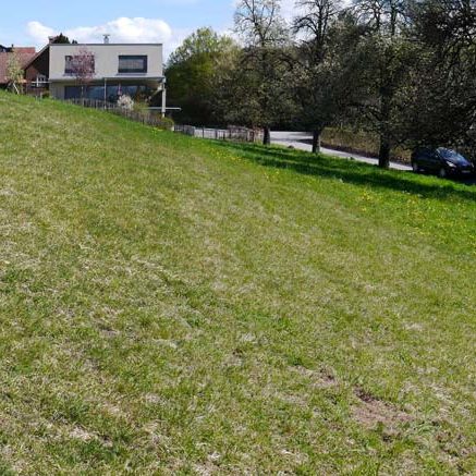 Attraktives Grundstück in Feldkirch-Tisis - Amann Immobilien