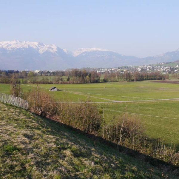 Attraktives Grundstück in Feldkirch-Tisis - Amann Immobilien