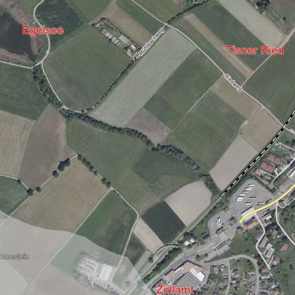 Attraktives Grundstück in Feldkirch-Tisis - Amann Immobilien