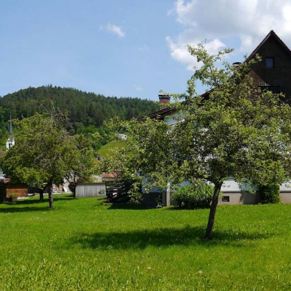 Liegenschaft in Röthis - Zentrumslage - Amann Immobilien