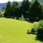 Super Grundstück in Feldkirch-Tisis - Amann Immobilien
