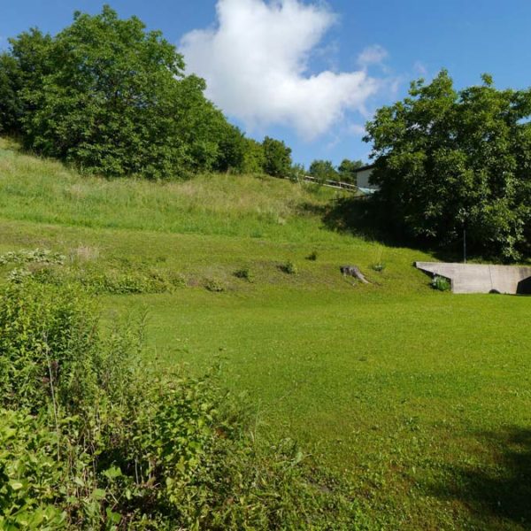 Super Grundstück in Feldkirch-Tisis - Amann Immobilien