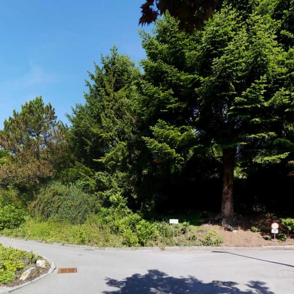 Super Grundstück in Feldkirch-Tisis - Amann Immobilien