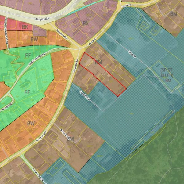 Wohn- und Geschäftshaus in Rankweil - Amann Immobilien