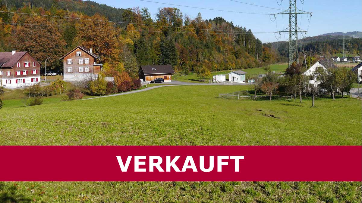 Landwirtschaftliche Grundstücke in Göfis - VERKAUFT - Amann Immobilien