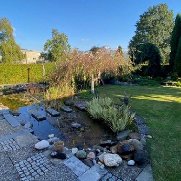 Einfamilienhaus in Lauterach - Amann Immobilien