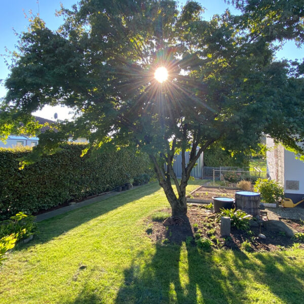 Einfamilienhaus in Lauterach - Amann Immobilien