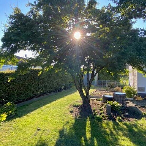 Einfamilienhaus in Lauterach - Amann Immobilien