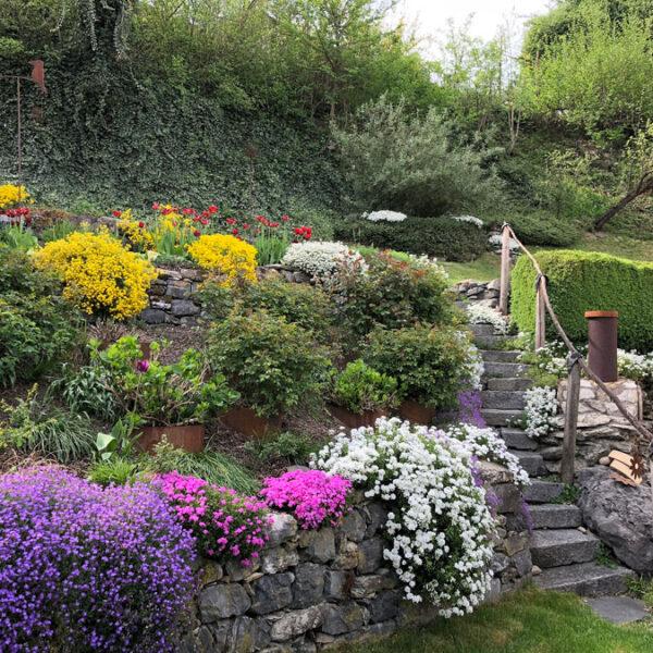 Wohnhaus mit Gewerbeflächen in Sulz - Amann Immobilien