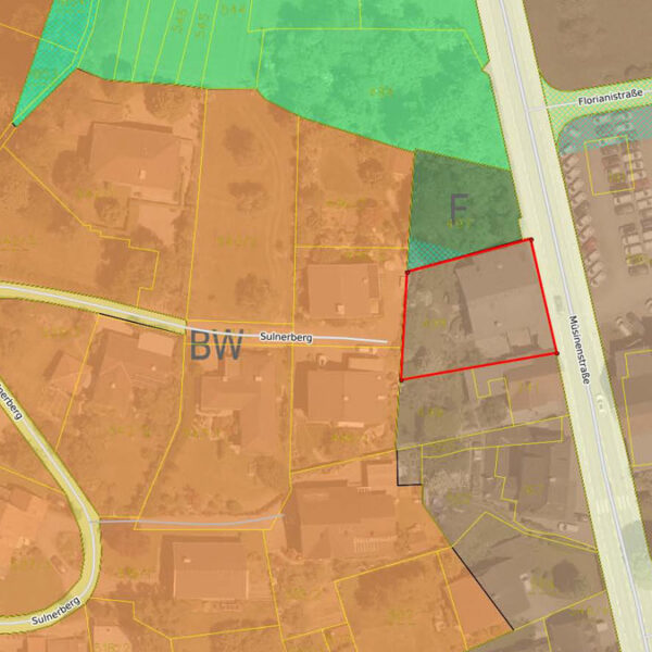 Wohnhaus mit Gewerbelfächen in Sulz - Flächenwidmungsplan - Amann Immobilien