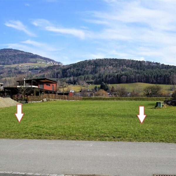 Schönes Grundstück in Weiler - Amann Immobilien