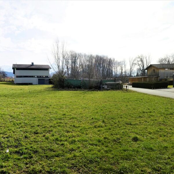 Schönes Grundstück in Weiler - Amann Immobilien