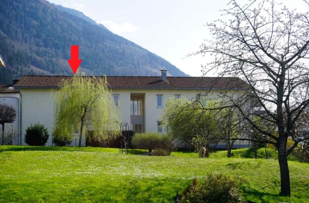 Geräumige 3-Zi-Wohnung in Feldkirch-Tisis - Amann Immobilien