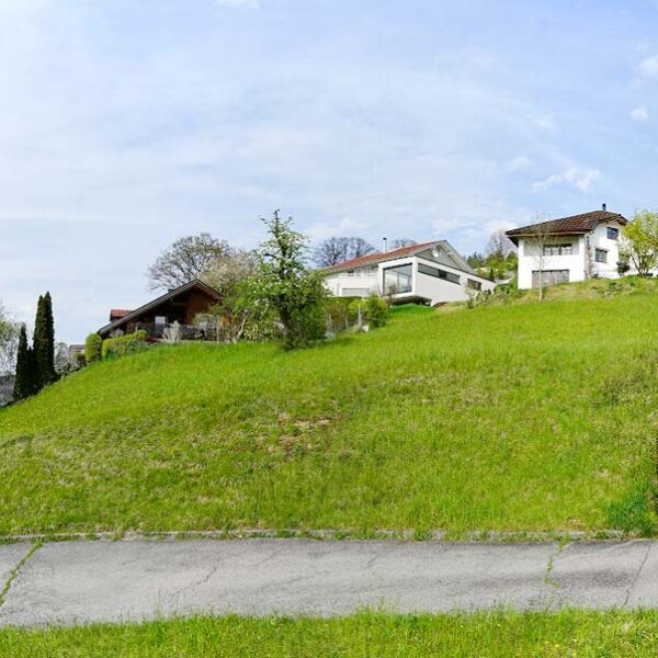 Baugrund in Hanglage - Röthis - Amann Immobilien