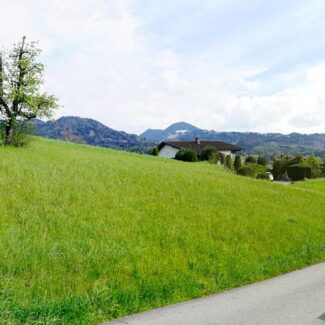 Baugrund in Hanglage - Röthis - Amann Immobilien