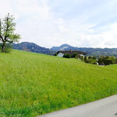 Baugrund in Hanglage - Röthis - Amann Immobilien