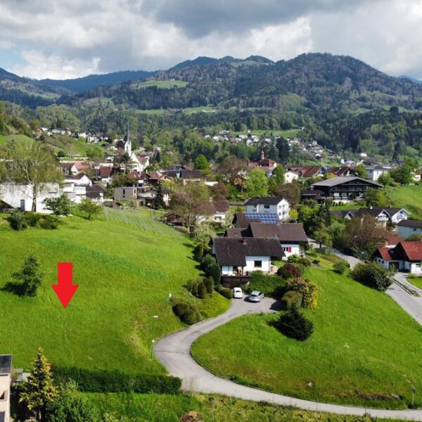 Baugrund in Hanglage - Röthis - Amann Immobilien