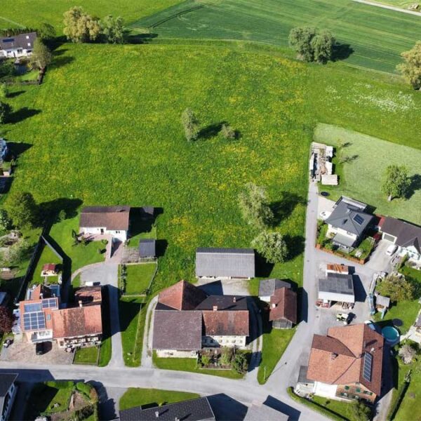 Bauernhaus mit Stall und Tenne in guter Lage im Rheintal - Meiningen - Amann Immobilien