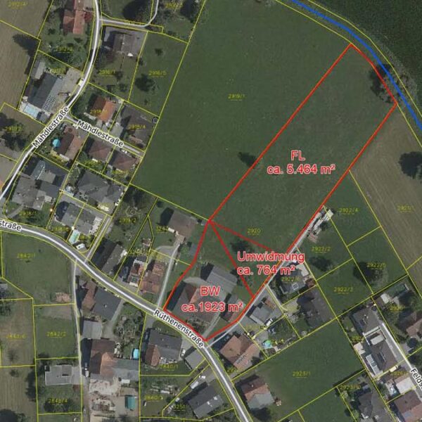 Bauernhaus mit Stall und Tenne in guter Lage im Rheintal - Meiningen - Katasterplan - Amann Immobilien