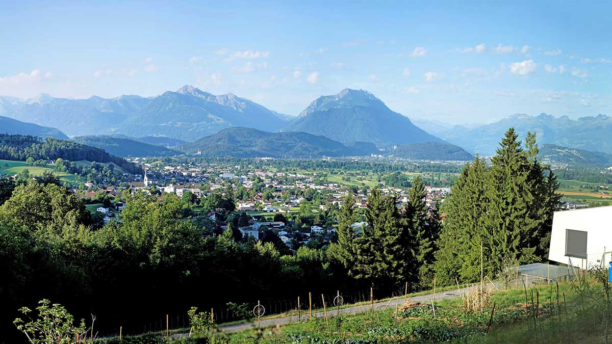 Grundstück am Waldrand in Klaus - Amann Immobilien