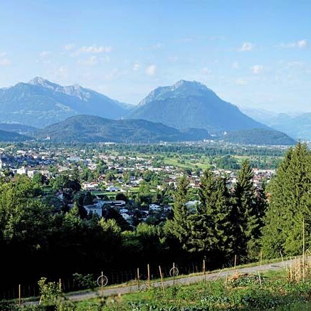 Idyllisches Grundstück am Waldrand mit Panoramablick - Klaus - Amann Immobilien