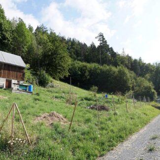 Grundstück am Waldrand mit Panoramablick - Klaus - Amann Immobilien