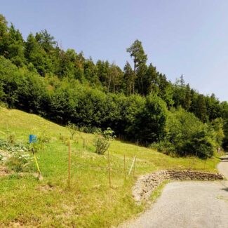 Idyllisches Grundstück am Waldrand mit Panoramablick - Klaus - Amann Immobilien