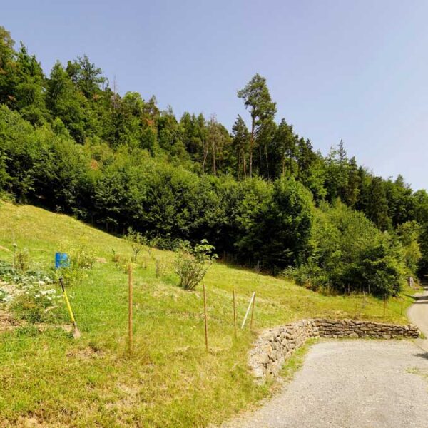 Idyllisches Grundstück am Waldrand mit Panoramablick - Klaus - Amann Immobilien