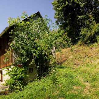 Idyllisches Grundstück am Waldrand mit Panoramablick - Klaus - Amann Immobilien