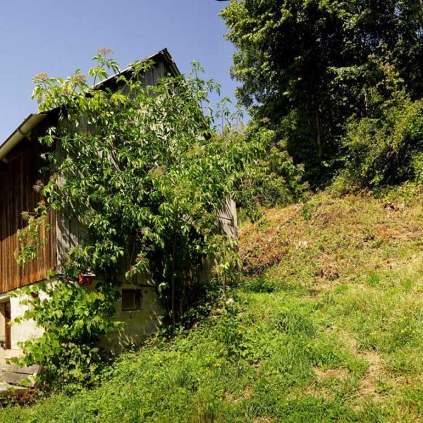 Idyllisches Grundstück am Waldrand mit Panoramablick - Klaus - Amann Immobilien