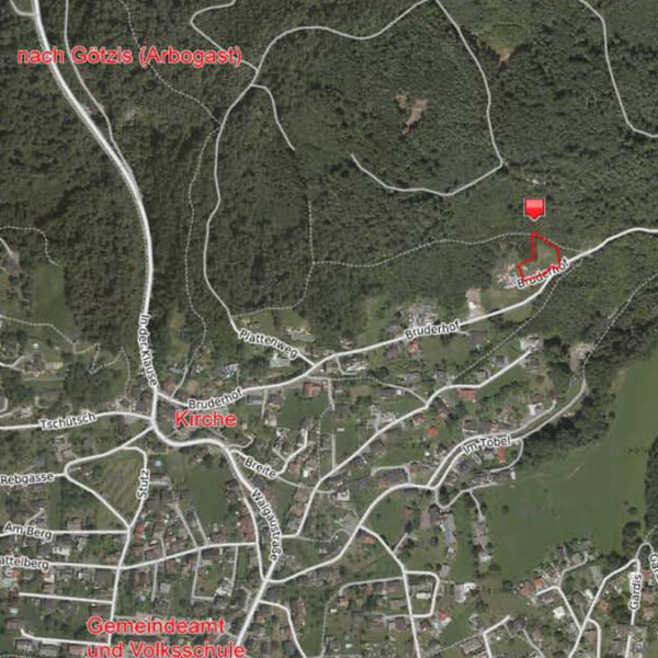 Grundstück am Waldrand - Klaus - Amann Immobilien