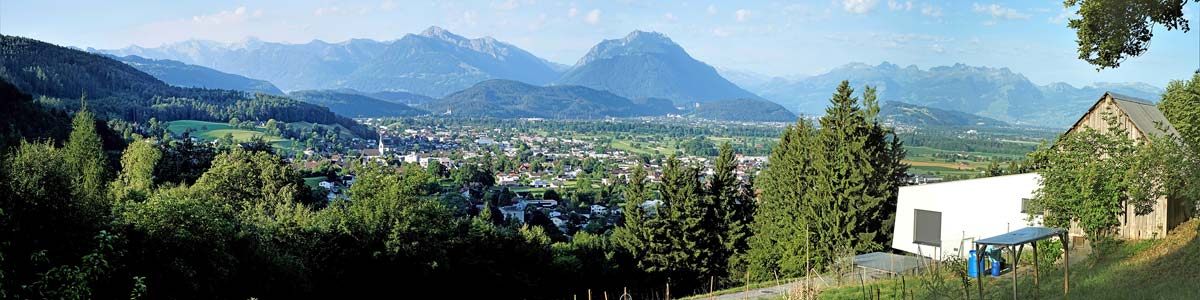 Grundstück am Waldrand in Klaus - Amann Immobilien