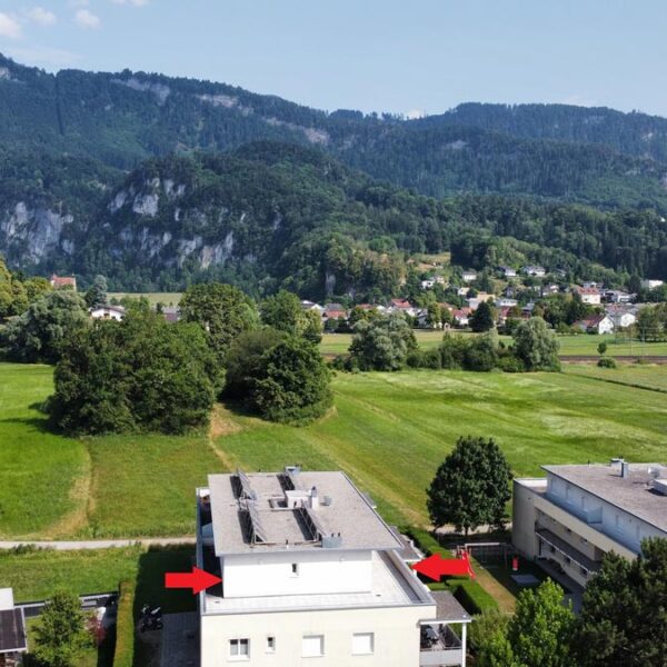 3-Zi-Dachterrassenwohnung mit 113 m2 Terrasse in Altach - Amann Immobilien