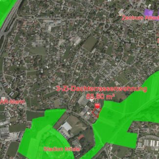 3-Zi-Dachterrassenwohnung mit 113 m2 Terrasse in Altach - Amann Immobilien
