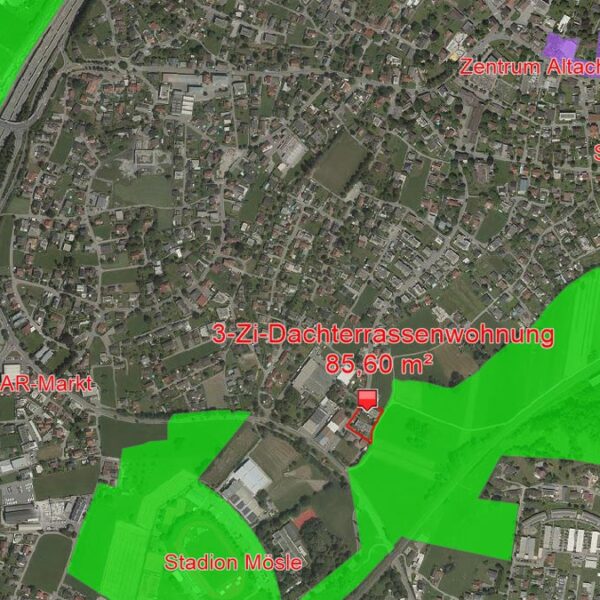 3-Zi-Dachterrassenwohnung mit 113 m2 Terrasse in Altach - Amann Immobilien