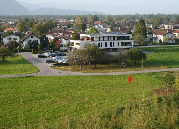 Baugrund in Feldkirch-Nofels - Amann Immobilien