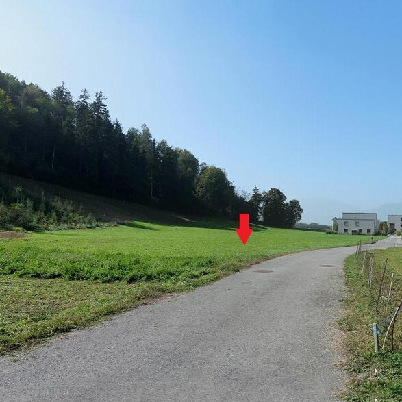 Baugrund in Feldkirch-Nofels - Amann Immobilien