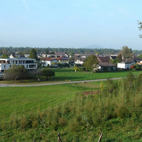 Baugrund in Feldkirch-Nofels - Amann Immobilien