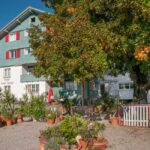 Gasthof/Pension in Viktorsberg - Gastgarten mit der alten Linde - Amann Immobilien