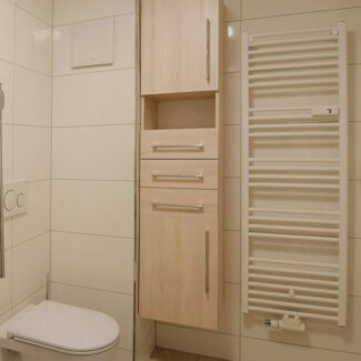 Preiswerte 2-Zimmer-Wohnung in Götzis - Amann Immobilien - Bad mit Dusche und WC