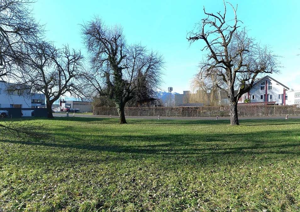 Ruhig gelegenes Grundstück in Weiler - Amann Immobilien