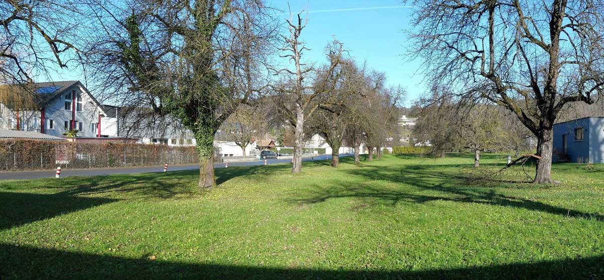 Ruhig gelegenes Grundstück in Weiler - Amann Immobilien