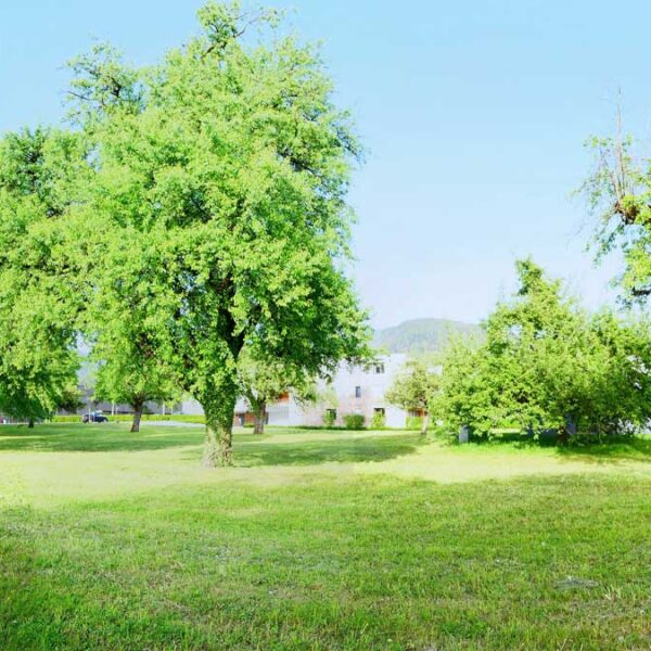 Ruhig gelegenes Grundstück in Weiler - Amann Immobilien