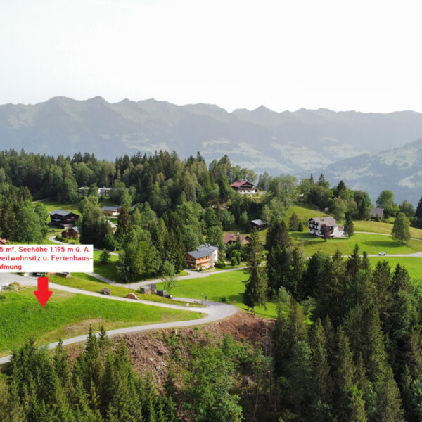 Grundstück für Ferienhaus in den Alpen - Bürserberg - Amann Immobilien