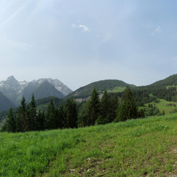 Grundstück für Ferienhaus in den Alpen - Bürserberg - Amann Immobilien