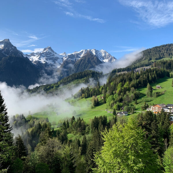 Grundstück für Ferienhaus in den Alpen - Bürserberg - Amann Immobilien